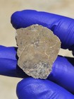 Touat 008 – Lunar Troctolite Melt Breccia – 4.925g Endcut  — photo 5