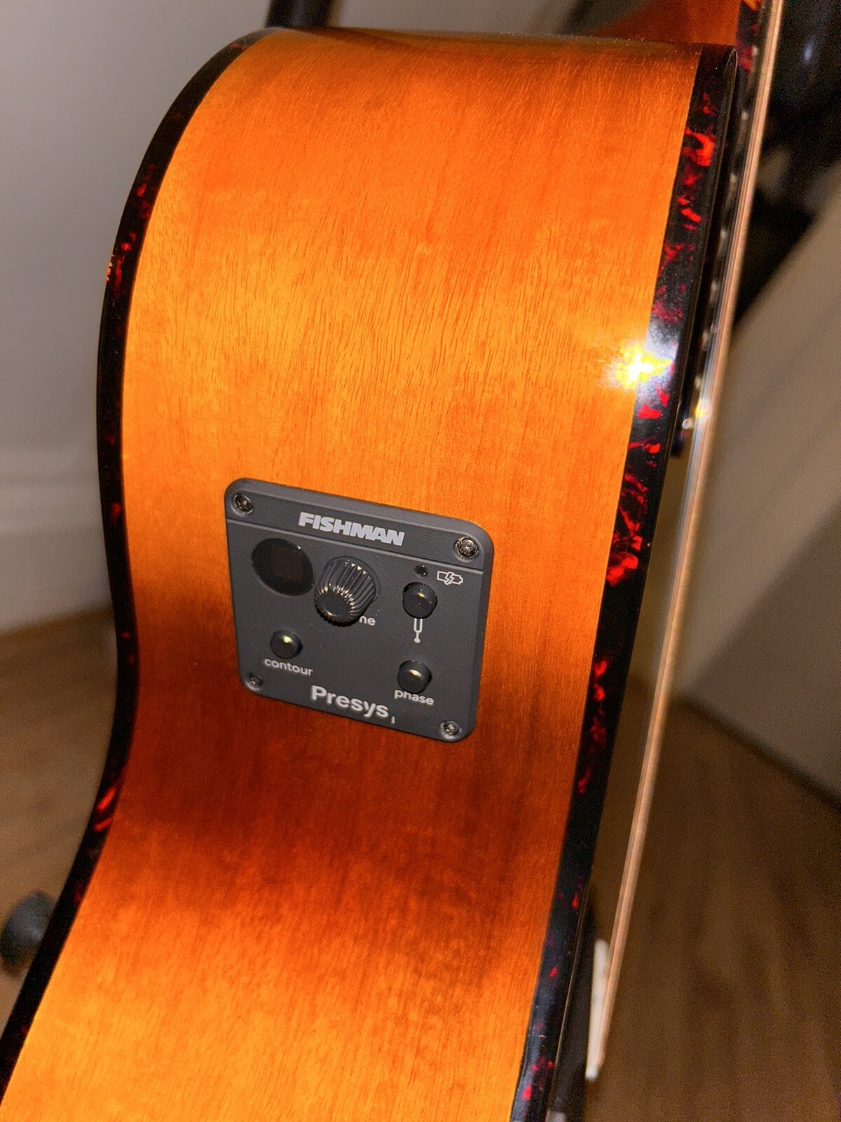 Breedlove ECO Pursuit Exotic S AcousticElectric Guitar eBay