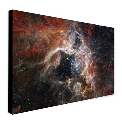A Cosmic Tarantula by NASA James Webb Telescope - Canvas Wall Art ...