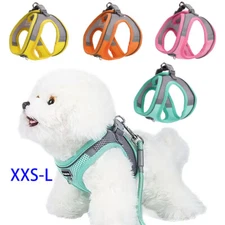 Small Cats Dogs Harness Adjustable Control Reflective Vest Outdoor Walking