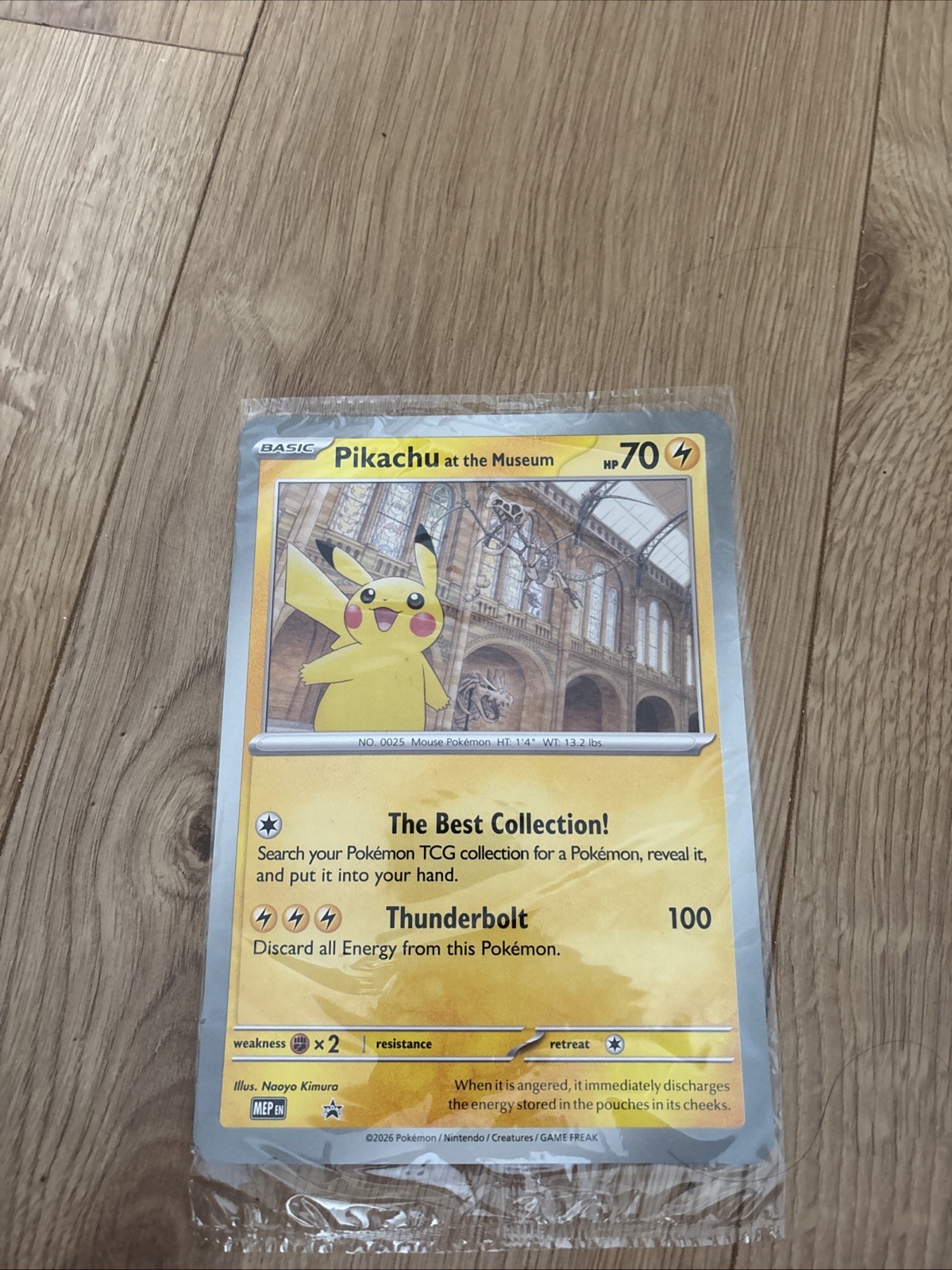 Pikachu At The Museum, Pokémon X Natural History Museum Jumbo Promo Pokémon Seal