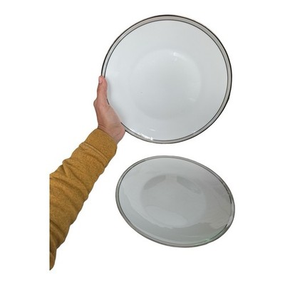 Ser Of 2 Vintage Rosenthal Continental 4042 Gala Grey 9 3/4'' Dinner Plates