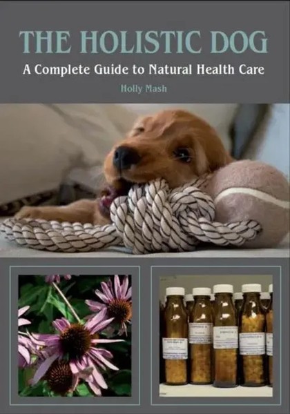 Holly Mash | The Holistic Dog | Taschenbuch | Englisch (2011)-image