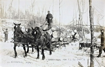 #ad #ad Northern Wisconsin T.L Co. Camp 2 Lumberjacks Logging RPPC Photo Postcard COPY $4.95