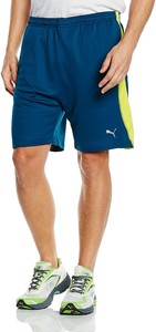 puma shorts herren