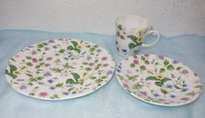 Queen's England Country Meadow  - Kaffeeservice -  Teile zur Auswahl