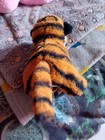 Bild 7 von 15