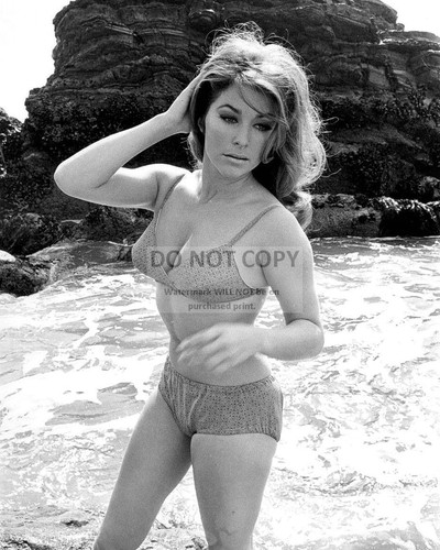 ACTRESS MICHELE CAREY PIN UP - 8X10 PUBLICITY PHOTO (CC947) | eBay