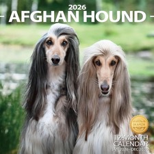 2026 Wall Calendar Afghan hound Planner Calendar, Hangable 