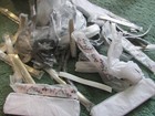 Bild 3 von 4