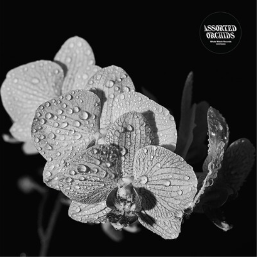 Assorted Orchids Assorted Orchids (Vinyl LP) 12" Album Coloured Vinyl