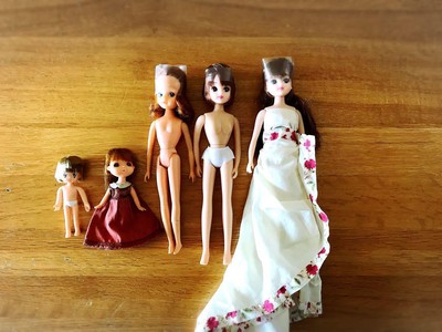 Licca-Chan Shareholder Benefit Doll Bulkset