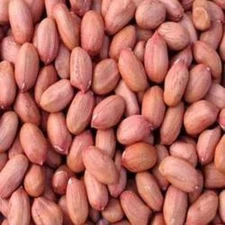 AIVA - Raw Spanish Peanuts 10 lb