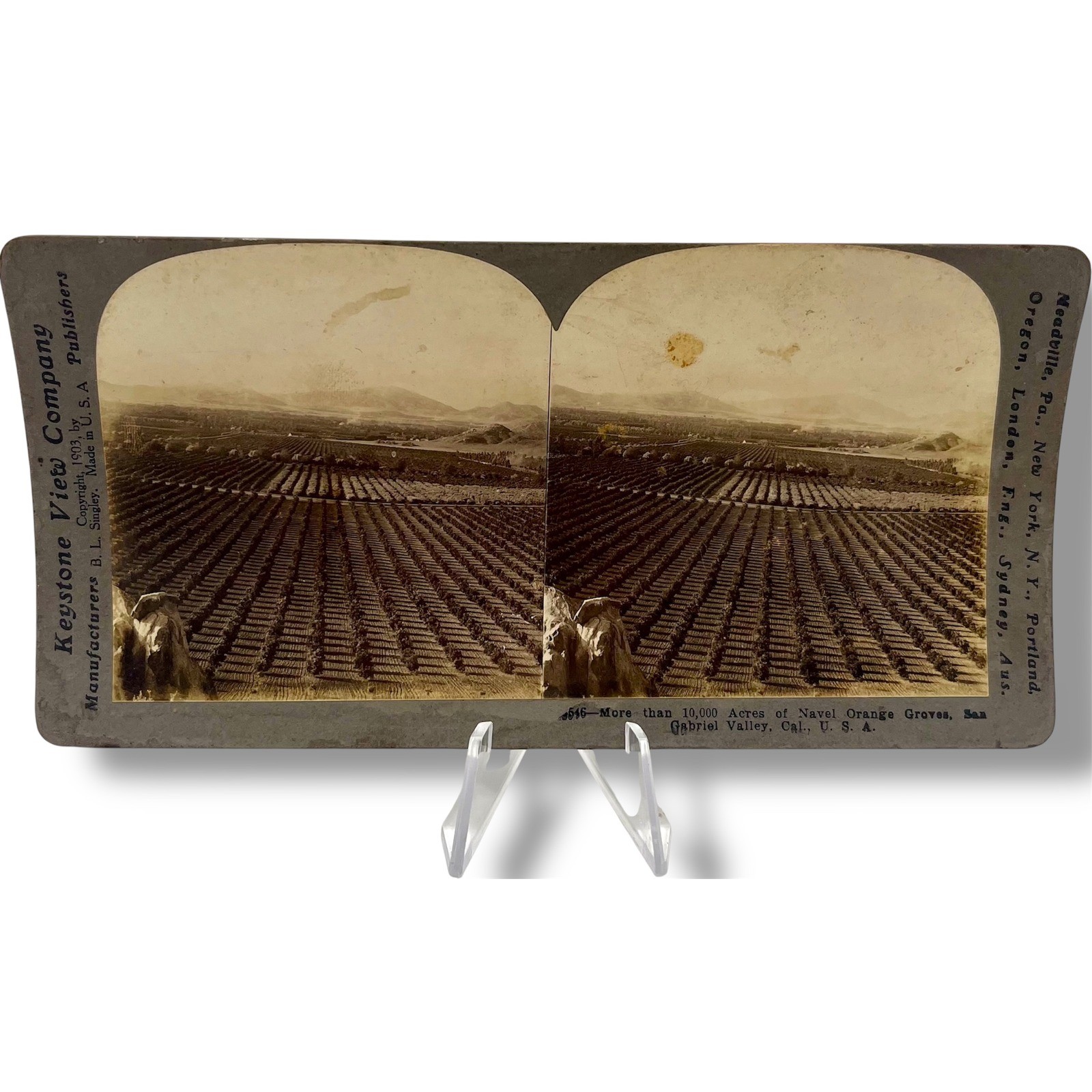 Keystone View Company Stereoview 1903 Gabriel Valley Orange Groves California