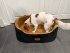 3 Dog car seats; 1 Large 2 Small — photo 4