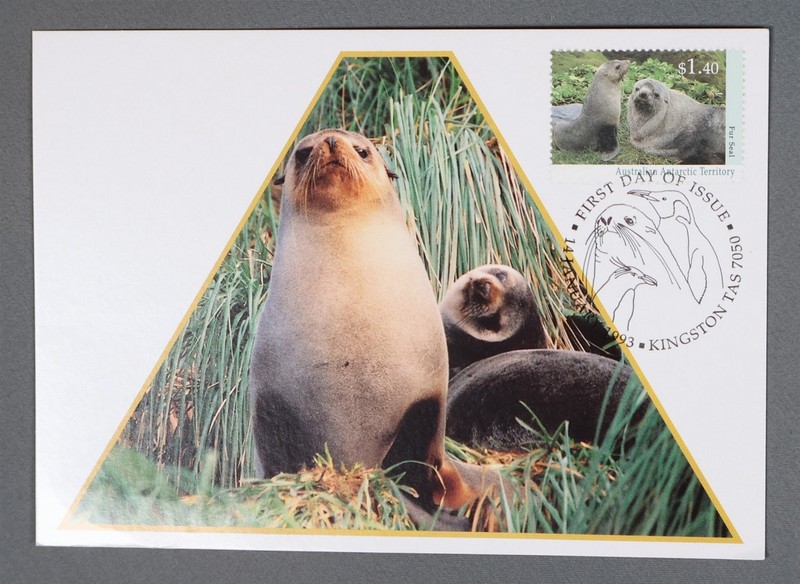 MayfairStamps Australian Antarctic Territory FDC 1993 Fur Seal First Day Cover a