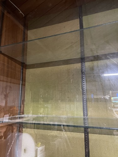 wall mounted trophy cabinet - Picture 4 of 5