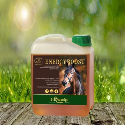 WES Energy Boost 5 Liter