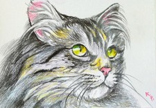 ACEO cat watercolor pencil by the author original 3,5