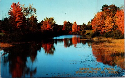 Postcard WI Greetings from Walworth Beautiful Scenic Autumn by Lakeside B4