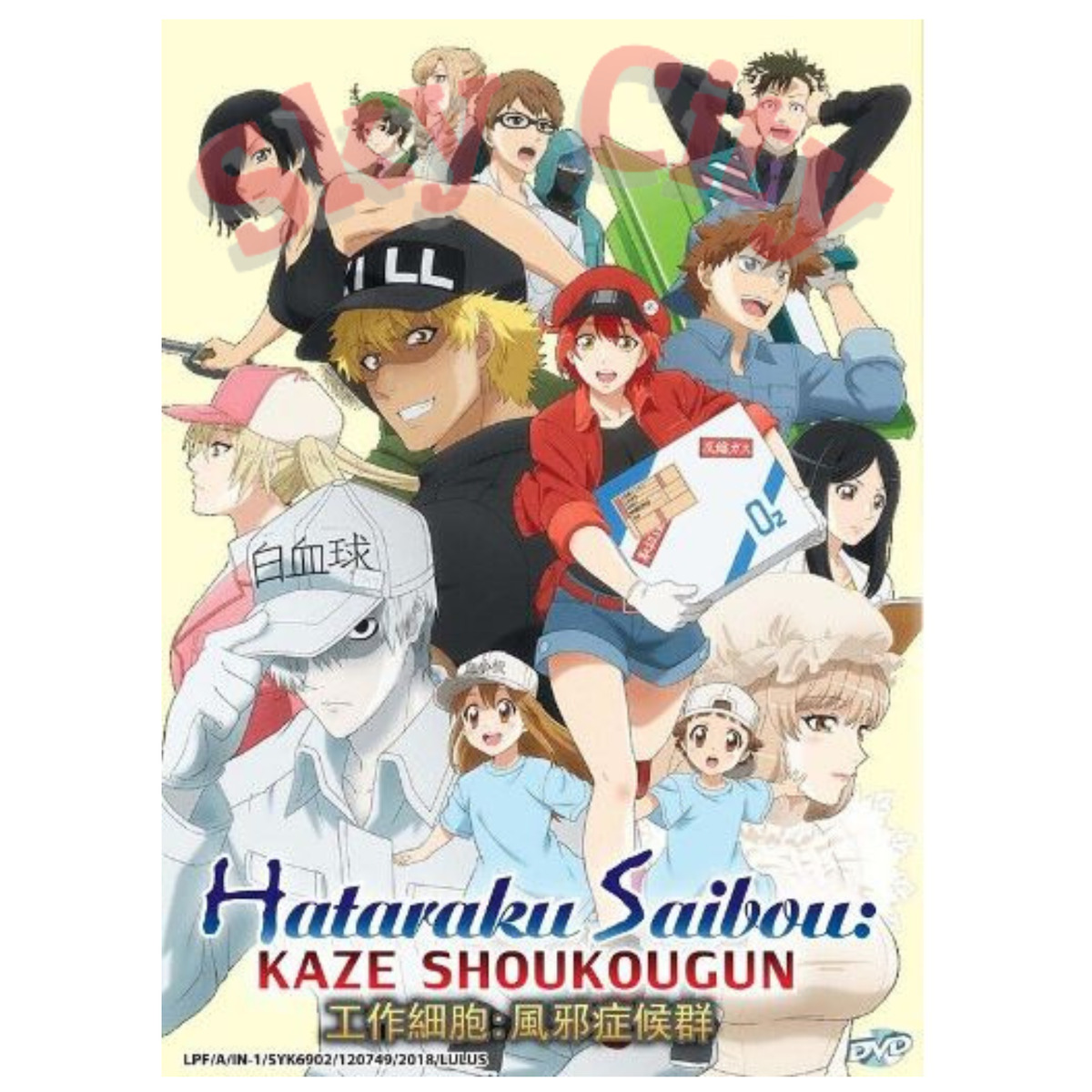 Hataraku Saibou Season 1 2 Black OVA Japanese Anime DVD for sale