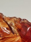 Bild 8 von 10