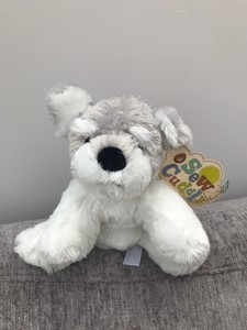 sainsburys pokemon toys