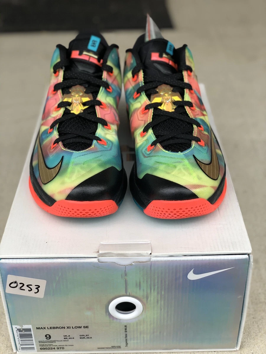 Lebron 11 rainbow store