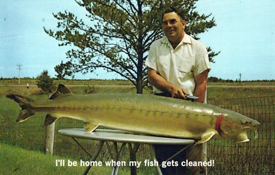 #ad Eau Claire Wisconsin Ill Be Home When My Fish Is Clean Vintage Chrome Post Card $7.11