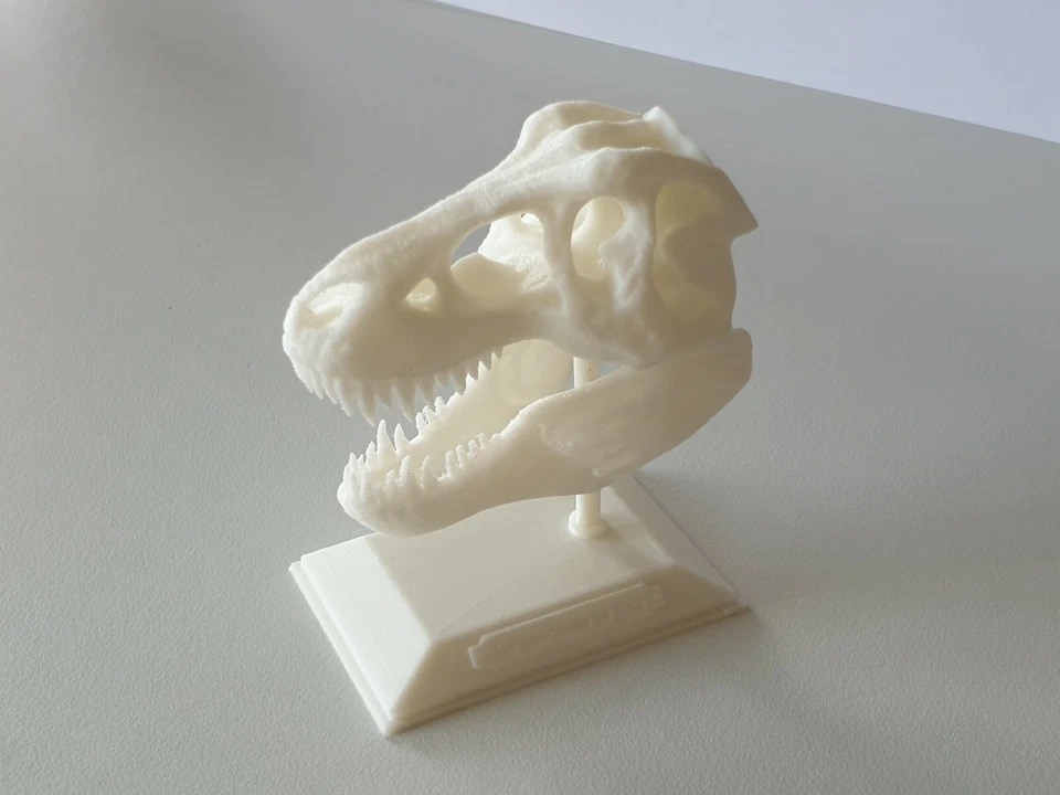 Stampa 3d, PLA T-rex modello 3D Scheletro - Immagine 4 di 4
