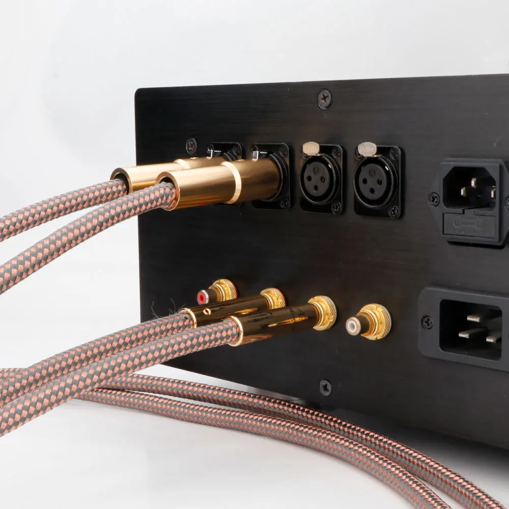 送料無料R-51』Accuphase 40th anniv. Limited edition