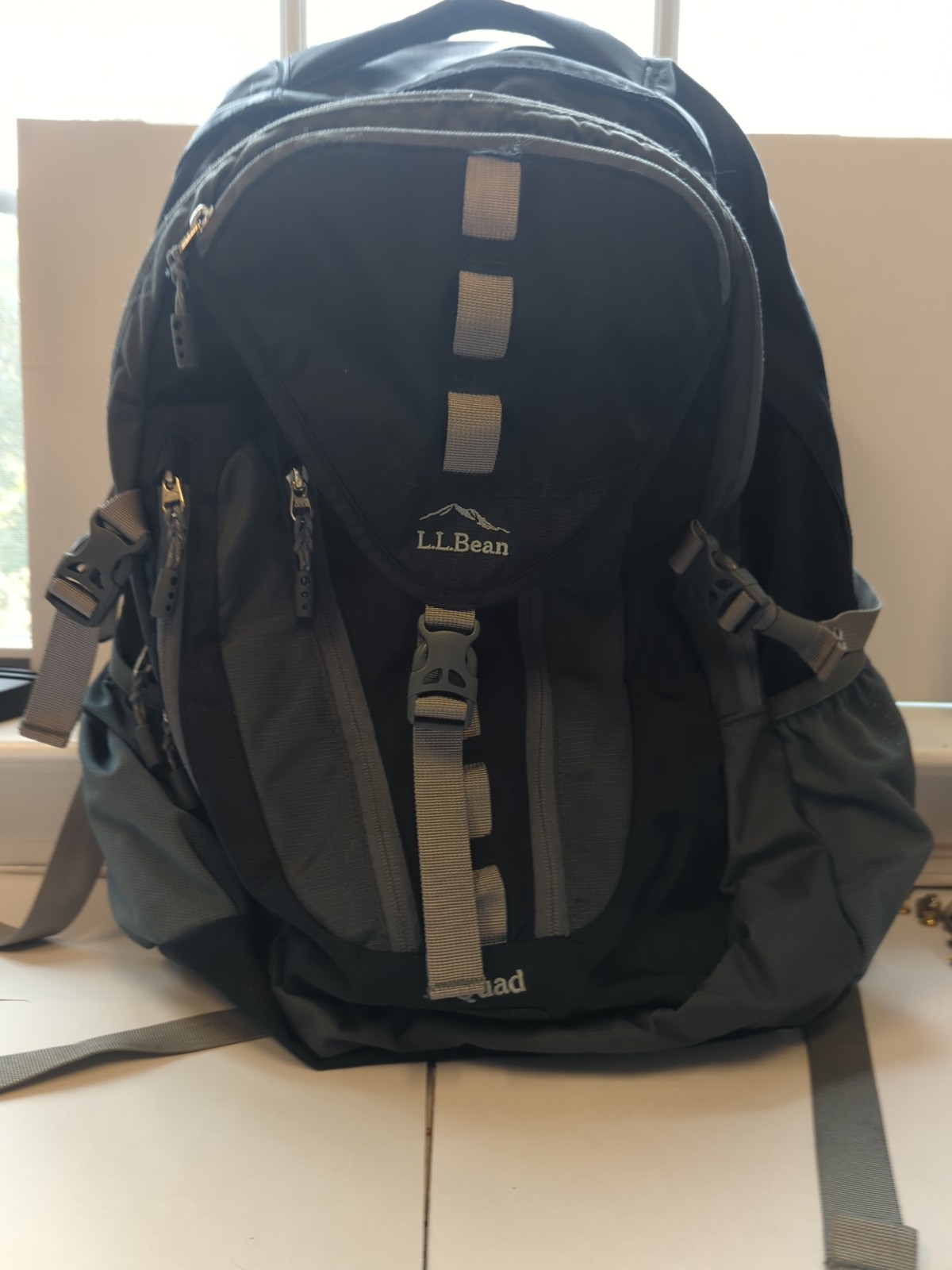 LL Bean Quad Backpack-Blue Gray - image 1