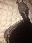 Picture 10 of 12