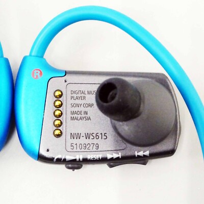 Sony Headphones Type Walkman W Series Nw-ws615 16gb Blue
