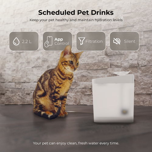 Penthouse Paws® Automatic Pet Water Fountain 74oz/2.2L for Cat & Dog White - 第 9/11 張圖片