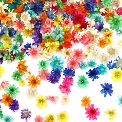 420 Pcs Small Dried Flowers for Crafts, Mini Dried Flowers