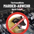 Bild 4 von 12