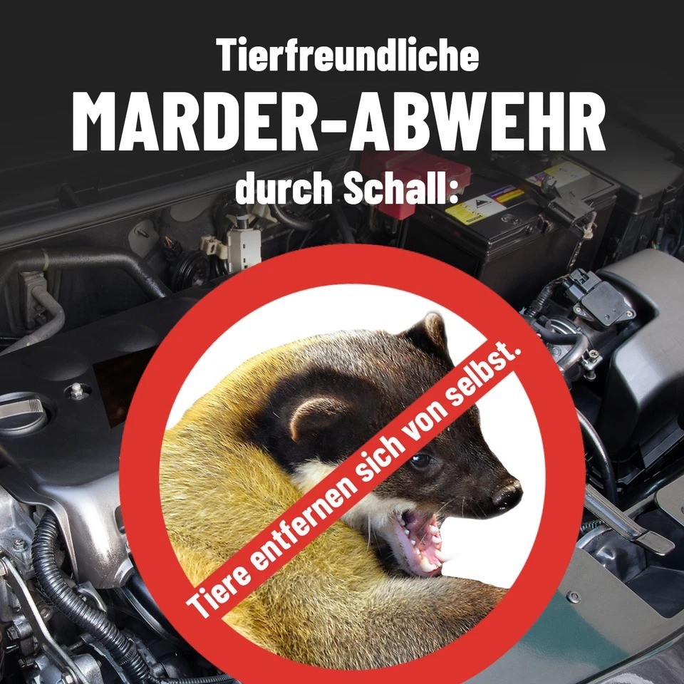 Bild 4 von 12