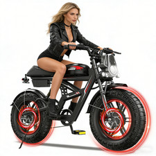 Ebike 20" 2000W Electric Bike Mountain Bicycle Fat Tire E-bike for Adults UL2849