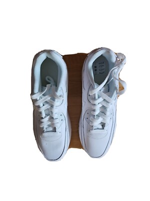 nike air max 90 ltr.