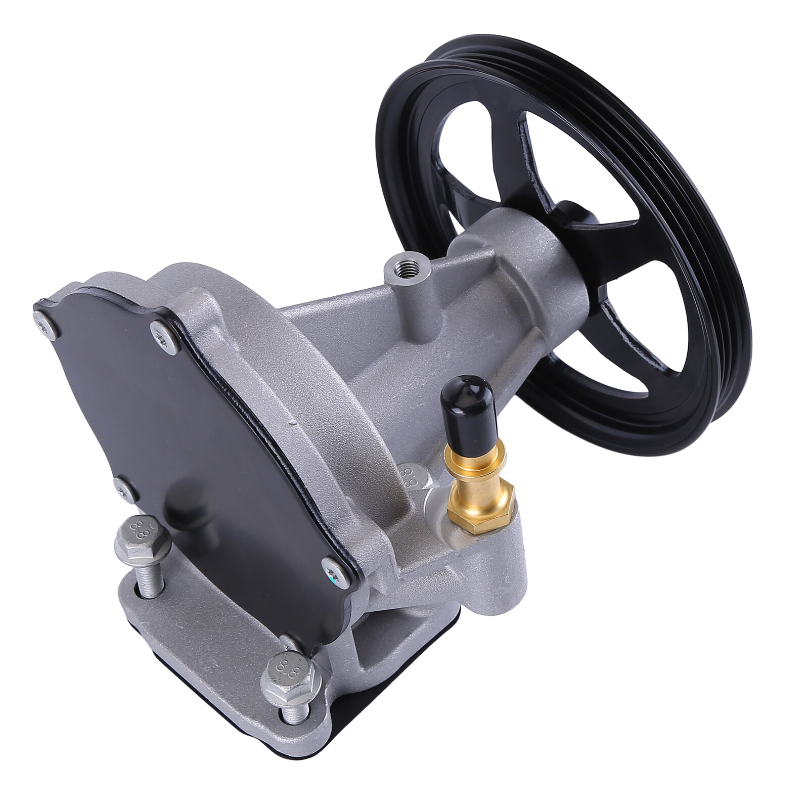 ACDelco GM 12696313 OEM Vacuum Pump Assembly for sale online | eBay 