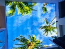 stretch ceiling