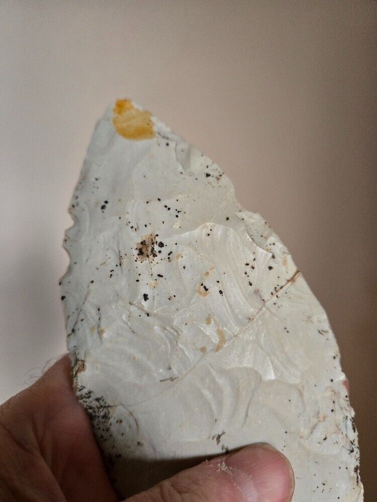 Picture 6 of 17