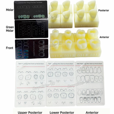 Dental Composite Resin Filling Practise Template Teeth Morphology Board Study