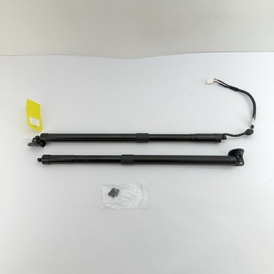 2014-2020 Acura MDX Liftgate Left Right Power Lift Cylinder Strut Shock Pair OEM