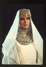 Brooke Shields Sahara Exotic Costume Original 35mm Transparency Stamped 1983