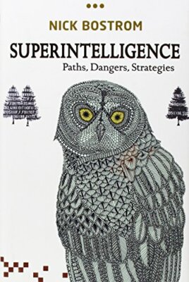 Superintelligence: Paths, Dangers, Strategies, Bostrom 9780199678112 New..