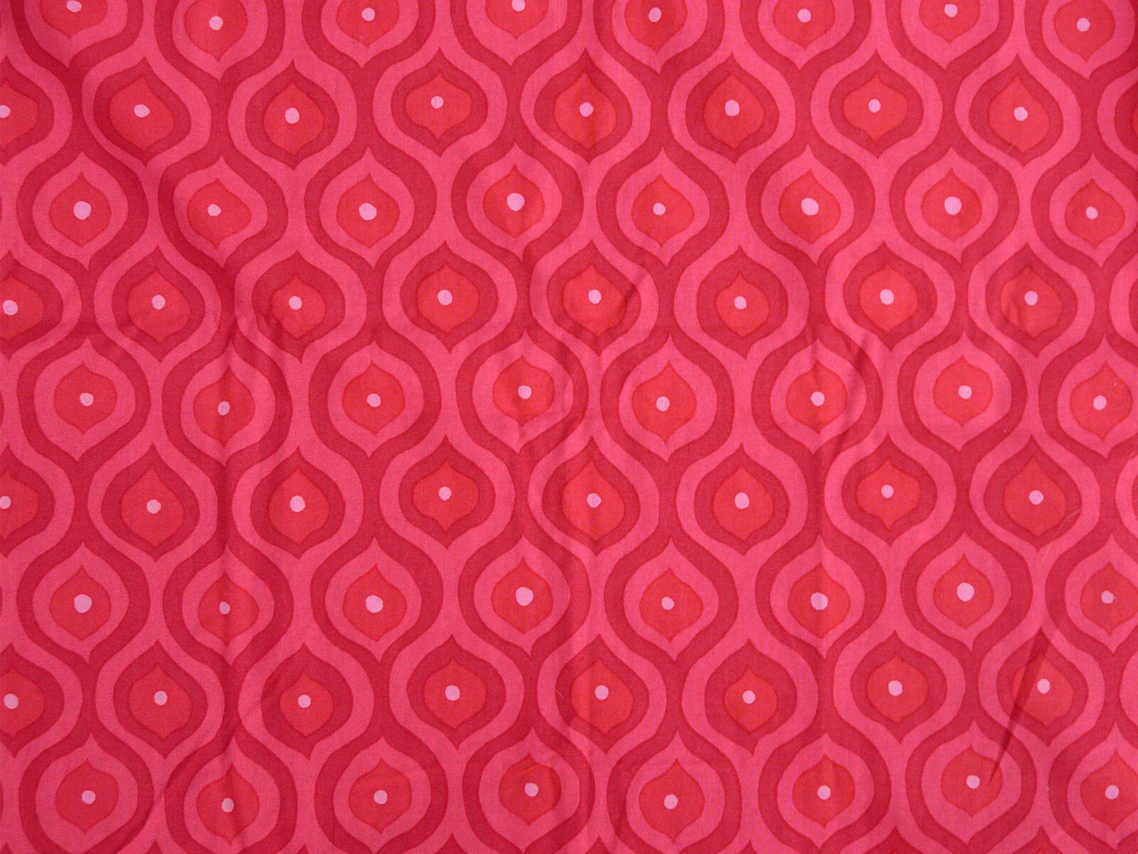 Curves OLIVE ROSE Valori Wells fabric for Free Spirit,  44