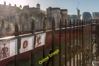 Foto 6x4 Mohnblumen am Tower, London In Erinnerung an: Frederick James W c2014