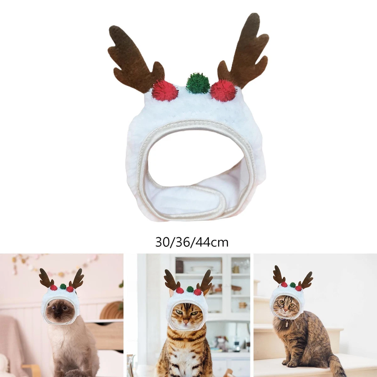 Kitten store christmas hat
